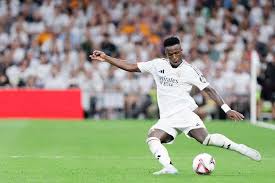 多功能体育 多功能体育